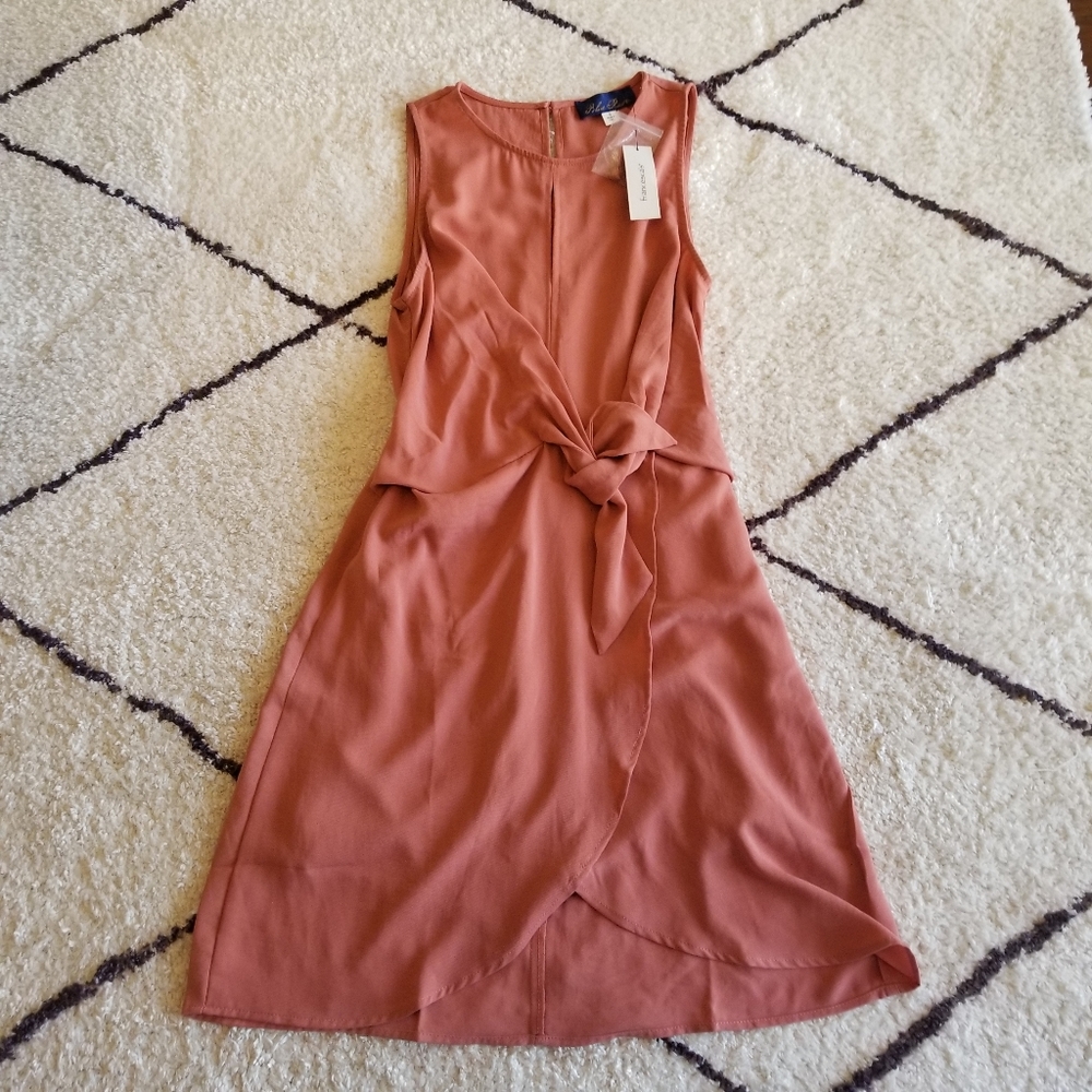 Francesca's Dusty Rose Tie Front Dress